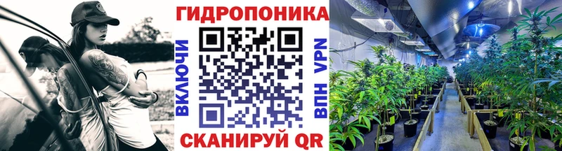 Купить закладки  Урень  Каннабис OG Kush 